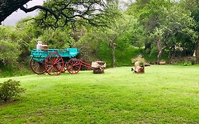 Cabañas La Frontera